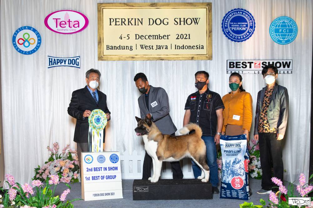 house-of-american-akita-von-haus-jhl